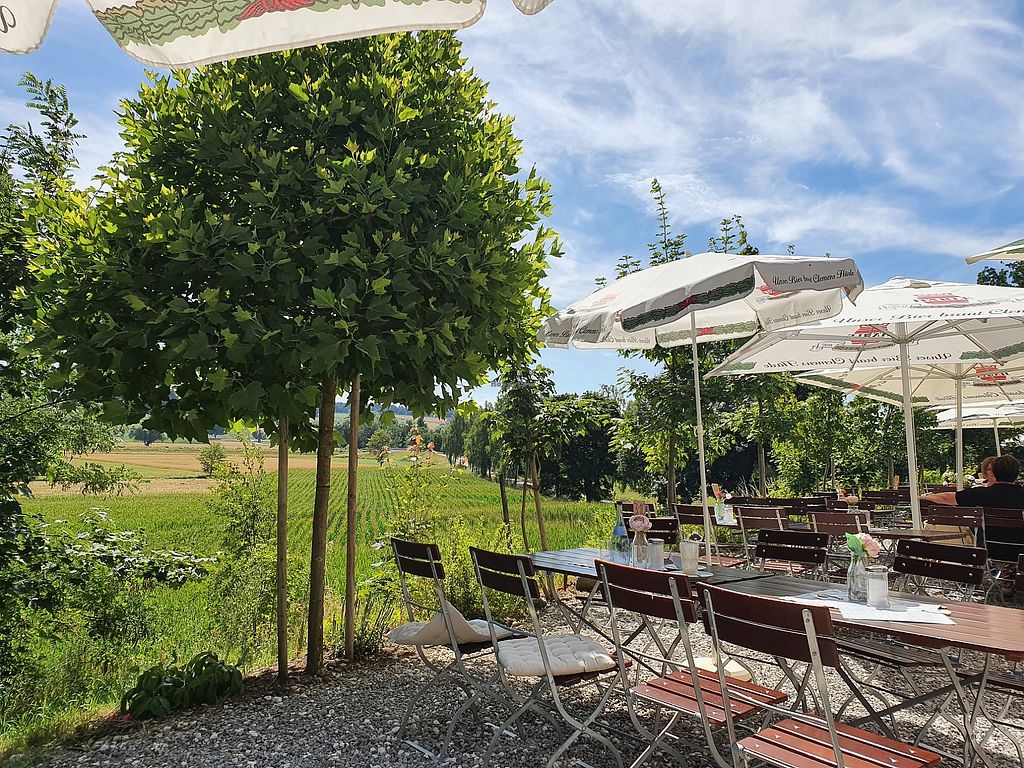 Höselhurst bei Krumbach Theodor`s Berg